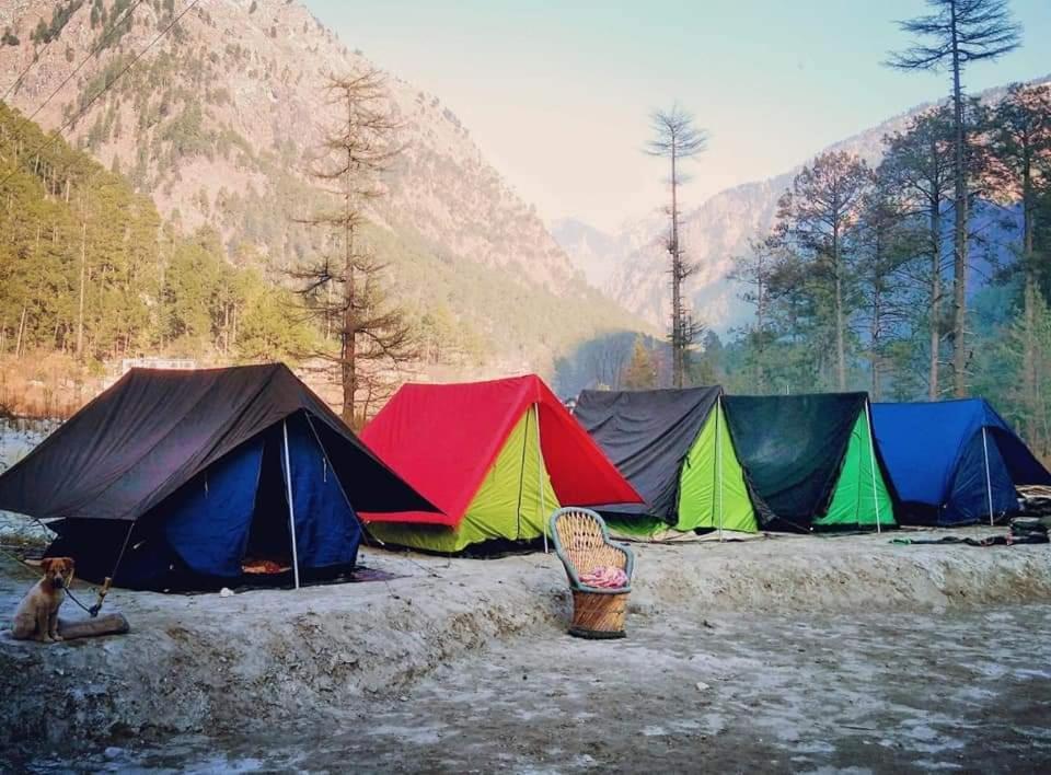 Stayhigh Camps & Cottages Kasol Kültér fotó