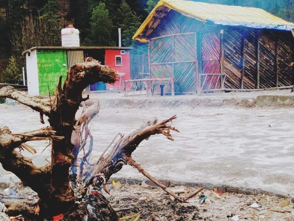 Stayhigh Camps & Cottages Kasol Kültér fotó