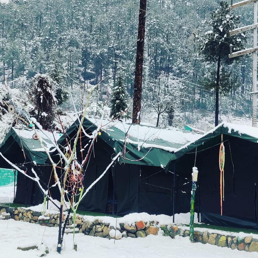 Stayhigh Camps & Cottages Kasol Kültér fotó